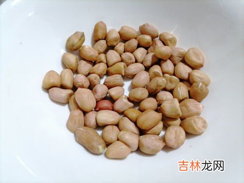 麦豆是什么豆,麦豆是什么豆