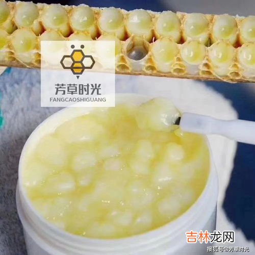 蜂巢的作用与功效禁忌,蜂房的功效与作用及禁忌