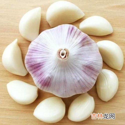大蒜素软胶囊的功效与作用,大蒜素胶囊是抗生素吗?大蒜素胶囊孕妇可以吃吗?