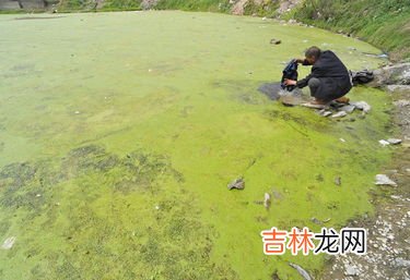 水环境污染典型类型主要包括,水污染物主要有哪些?