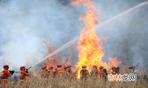 金属钾着火用什么灭火,二氧化碳灭火器可不可以扑救钾，钠，镁金属类的火灾