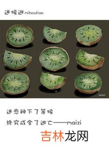因果黑枸杞,黑枸杞有什么功效?