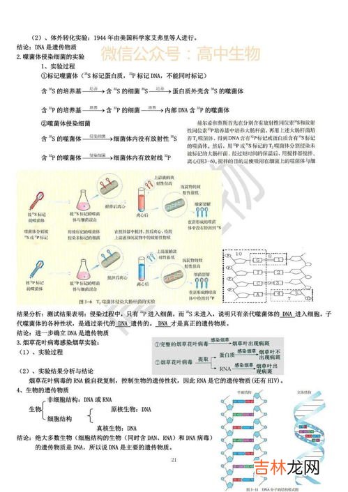 高考生物和什么搭配最好,3+1+2选科最佳组合 哪些方案比较好