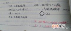 高考生物和什么搭配最好,3+1+2选科最佳组合 哪些方案比较好