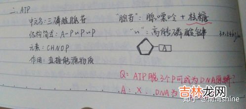 高考生物和什么搭配最好,3+1+2选科最佳组合 哪些方案比较好