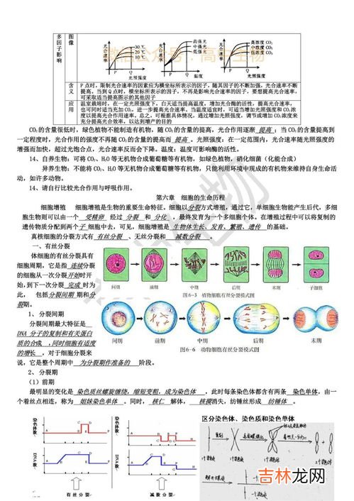 高考生物和什么搭配最好,3+1+2选科最佳组合 哪些方案比较好