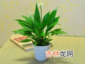 一帆名字的寓意是什么,张一帆这个名字好吗?