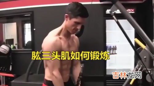 辅助肱三头肌锻炼方法,如何锻炼肱三头肌,有哪些动作能有效刺激呢?