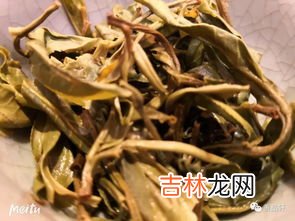 湿气重的人能喝桑叶茶吗,请问一下桑叶茶什么人不可以喝