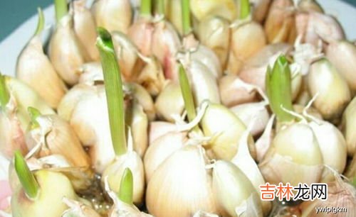 吃大蒜精上火吗,大蒜精上火么