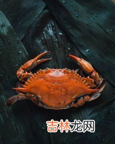 螃蟹需要洗吗,蒸螃蟹之前要不要洗