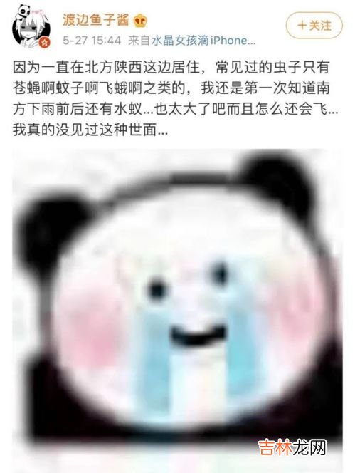 高人竟在我身边什么梗,高情商是什么梗