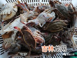 冷藏一天的螃蟹死了还能吃吗,冷藏保鲜螃蟹死了还能吃吗