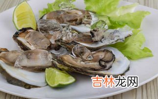 牡蛎虫草片效果怎么样,十方奕蛹虫草牡蛎含片有什么功效？