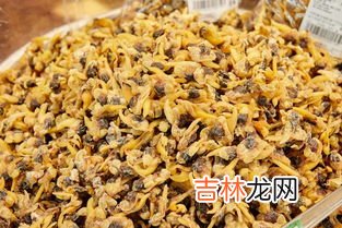 牡蛎虫草片效果怎么样,十方奕蛹虫草牡蛎含片有什么功效？