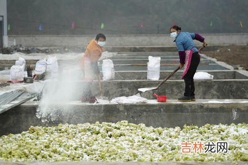 重庆市酉阳县很穷吗,重庆市十大贫困县是哪些？