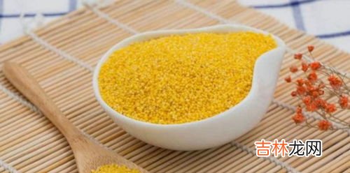 小米需要淘洗吗,小米要洗吗 清洗小米的注意事项