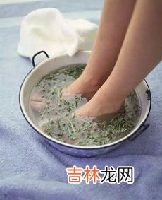 几月的艾草药用价值高,艾草秋天的时候采摘可以用吗