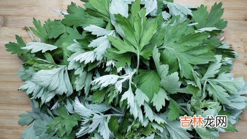 几月的艾草药用价值高,艾草秋天的时候采摘可以用吗