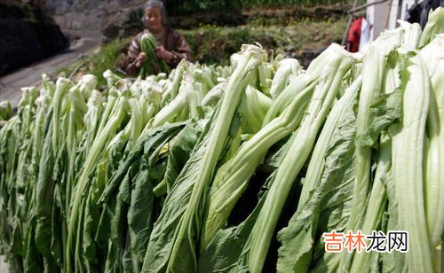 腌酸菜上面长白膜是什么原因,腌酸菜为什么起白膜还能吃么?