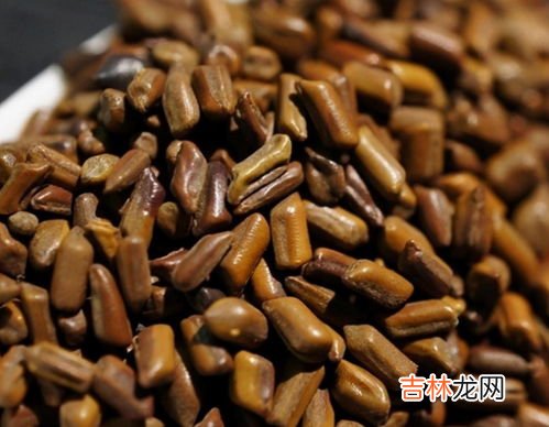 谷朊粉的作用和用途,谷朊粉在面粉中能起到什么作用?
