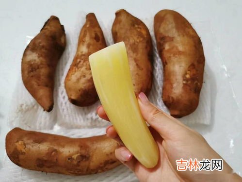 雪莲果怎么吃,雪莲果怎么吃