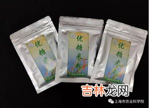 化糖贴有效果吗,化糖贴有效果吗?能用吗那有买