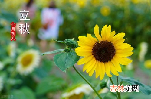 立秋后天气还要热多久,立秋后天气还热多久 过后还会热吗？