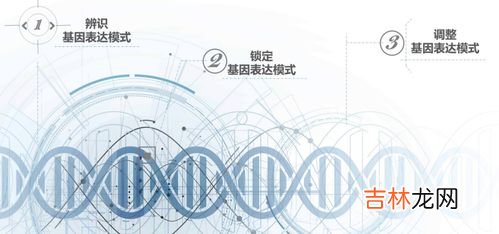 复沛日新胶囊的作用,维生素ad软胶囊的功效与作用