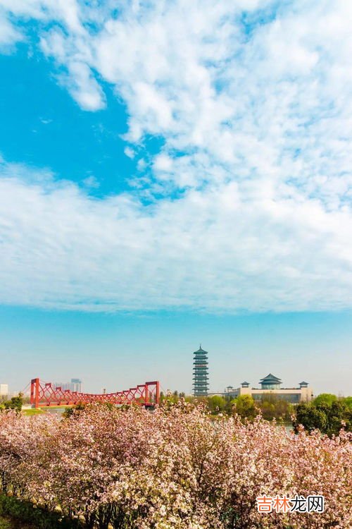 大运河申遗的牵头城市是哪里,大运河申遗牵头城市是