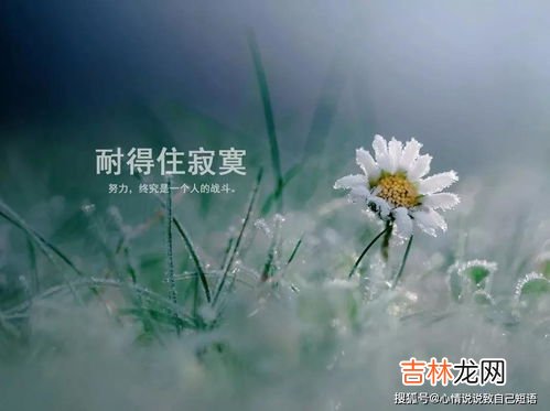 鼓励自己说说心情短语,给自己加油鼓励的句子说说心情