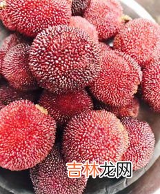 杨梅核吞进肚子会打灰尘吗,杨梅核可以吃吗,不能/会肠胃出血和肠梗阻