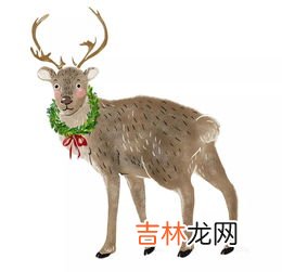 圣诞老人的驯鹿叫什么名字,圣诞老人的鹿叫麋鹿还是驯鹿？