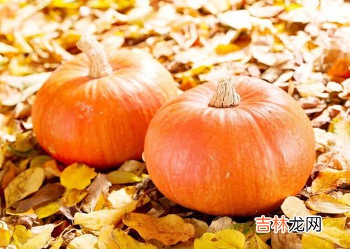 南瓜不能和什么食物一起吃,南瓜不能和什么食物一起吃 南瓜不要和这些食物同食