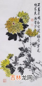 菊花的品质和精神,菊花有什么精神与品质