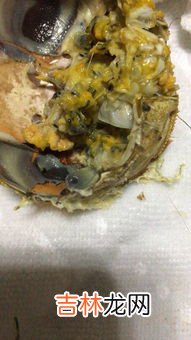 螃蟹里黑色条状物是寄生虫吗,大闸蟹里面的黑色条状物是什么?