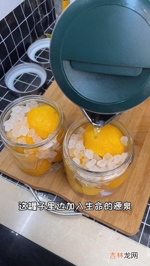 罐头做法,罐头怎么制作方法