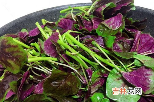 菠菜和牛肉能一起吃吗,菠菜和牛肉能一起吃吗?