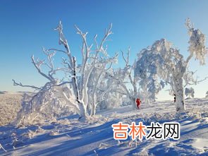 2023年冬天的雪多不多,2023年春节天气冷不冷