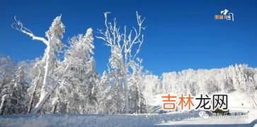 2023年冬天的雪多不多,2023年春节天气冷不冷