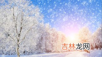 2023年冬天的雪多不多,2023年春节天气冷不冷