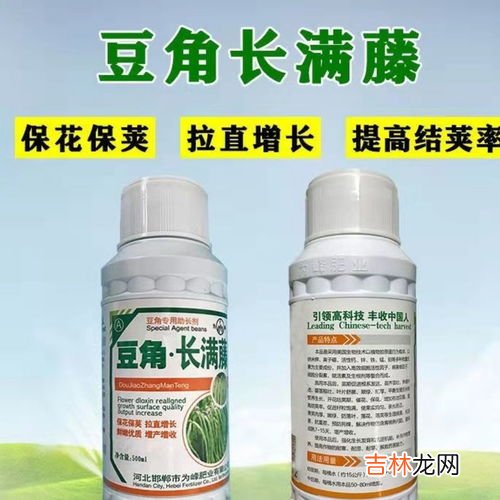 缸豆的功效与作用,豇豆的功效与作用介绍