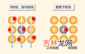 质子散效果如何,华药堂质子散饭前还是饭后吃