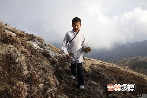终南山在那个省份,中南山在哪里属于哪个省?