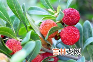 为什么盐水能洗掉水彩笔,“彩笔”画在“墙上”怎么去掉?