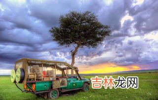 车停树下树胶不洗会伤害车漆吗,汽车长期放在树下，会不会对车漆造成影响？