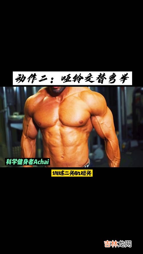 肱二头肌在哪,肱二头肌的长头、短头、内侧头、外侧头分别指哪儿?