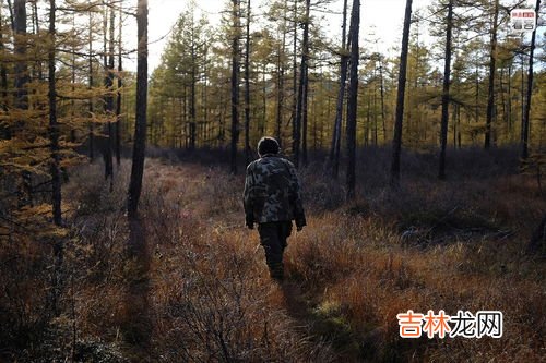 鹿的脚印像什么,长颈鹿脚印是什么形状，像什么，在线急