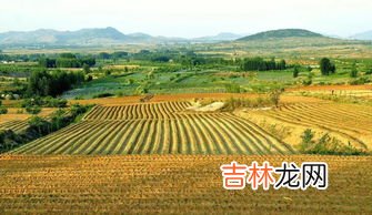 风化土是什么土壤,什么是风化土