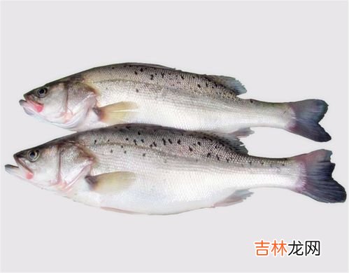 鲈鱼为何要少吃,鲈鱼的食用禁忌